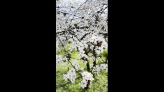 Szüléselőtti relax