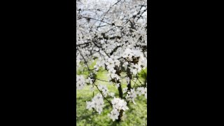 Szüléselőttirelax